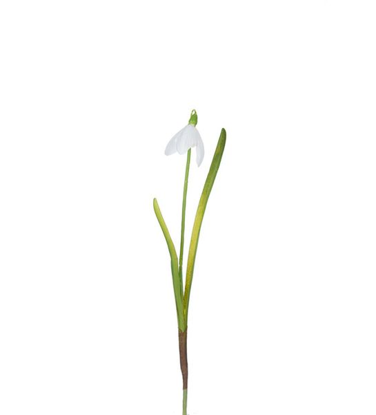 Hovedbilde Snødråpe 23 cm, Hvit