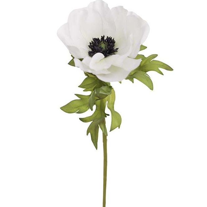 Hovedbilde Anemone 43 cm, Hvit